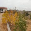 فروش باغچه ۱۰۰۰ متری