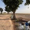 فروش زمین و باغ در فاصله یک ساعته تهران
