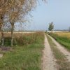 زمین شهرکی با سند تک برگ ۴۰۰ میلیون