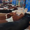 خرید و فروش گوساله سیمینتال با ۲۰ سال سابقه کاری