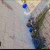 اجاره آپارتمان