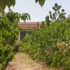 فروش باغچه ۱۰۰۰ متری
