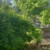 فروش خانه ویلایی استان همدان شهرستان رزن