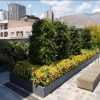 خدمات باغبانی هرسکاری گلکاری متخصص خاک گلدون درسراسر تهران