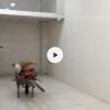 اجاره و رهن